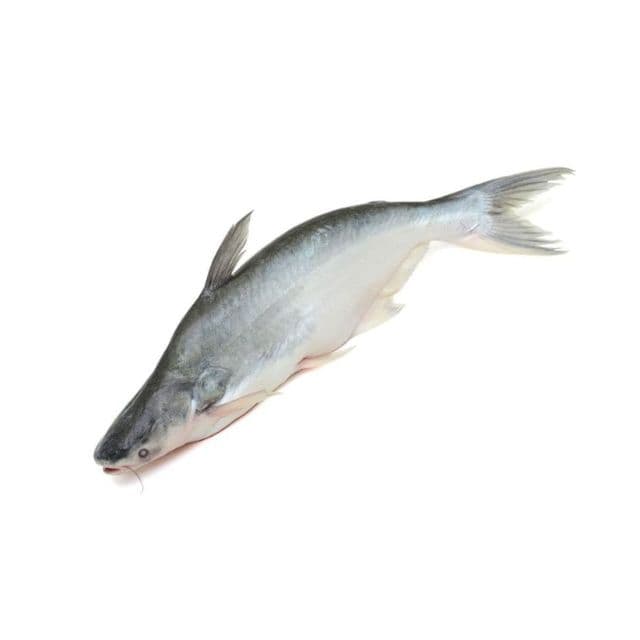 Pangus (1.5kg)