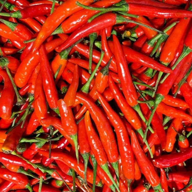 Frozen Red Chili (1kg)