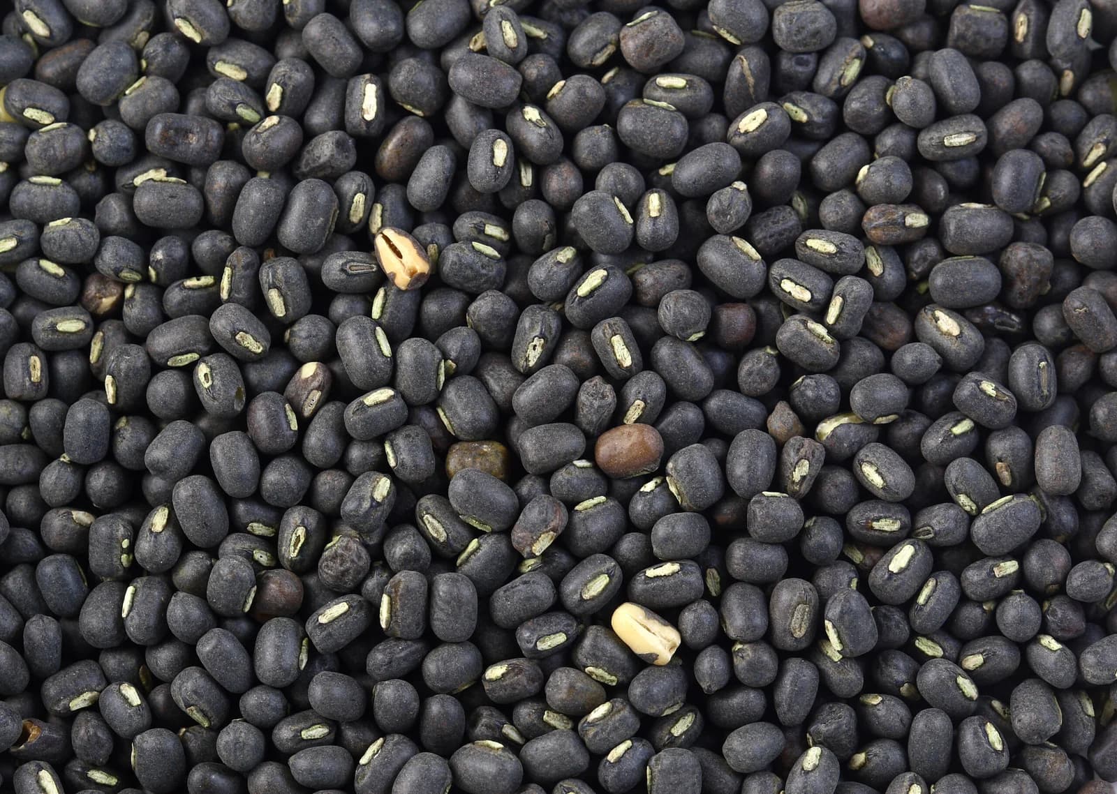 Urad dal whole(black dal)800gm