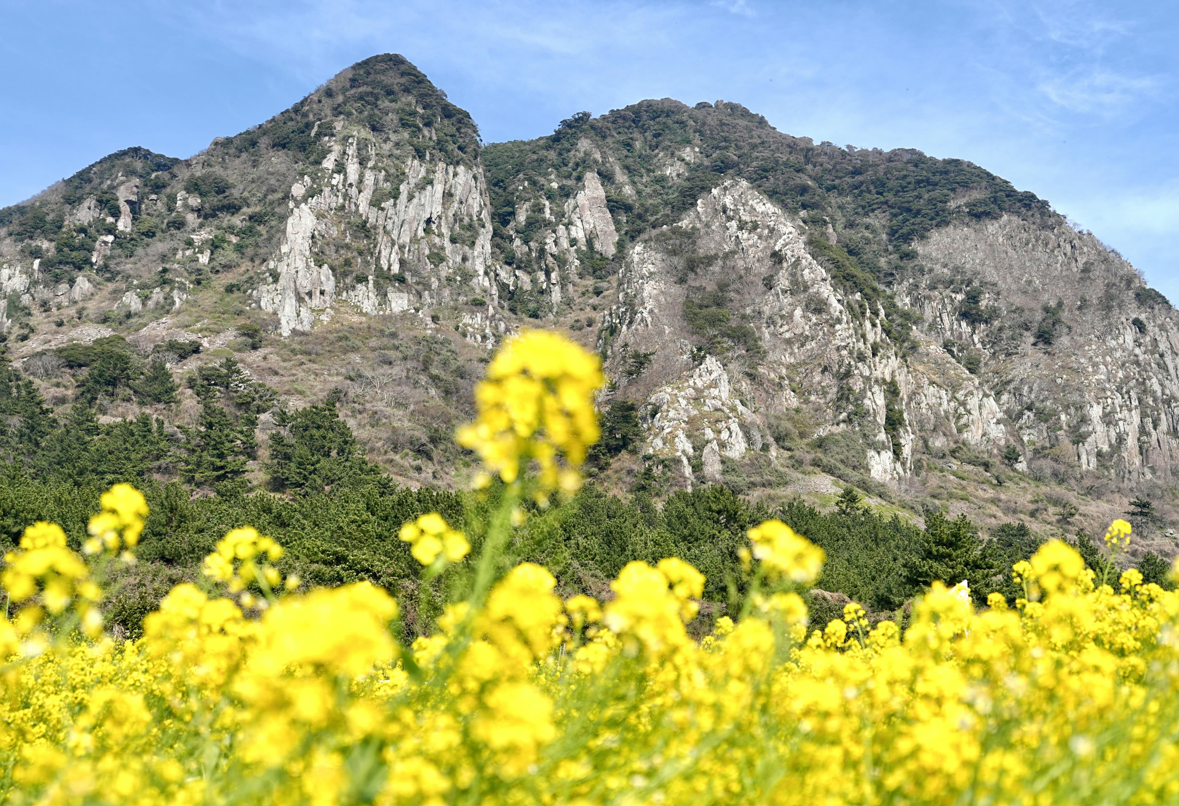 Jeju Group Classic Tour (10-20 People)